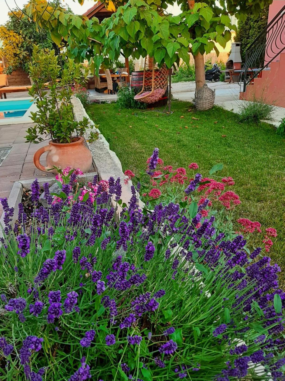 Apartment Smilje Sibenik Exterior photo